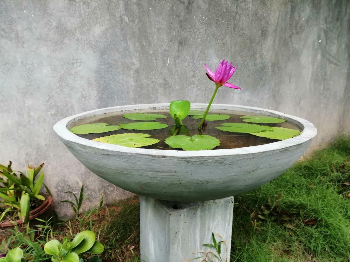 Orchid Villa #10 Хикадува Екстериор снимка