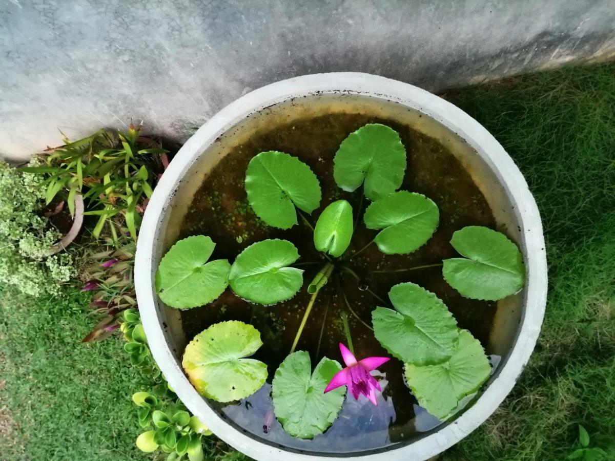 Orchid Villa #10 Хикадува Екстериор снимка